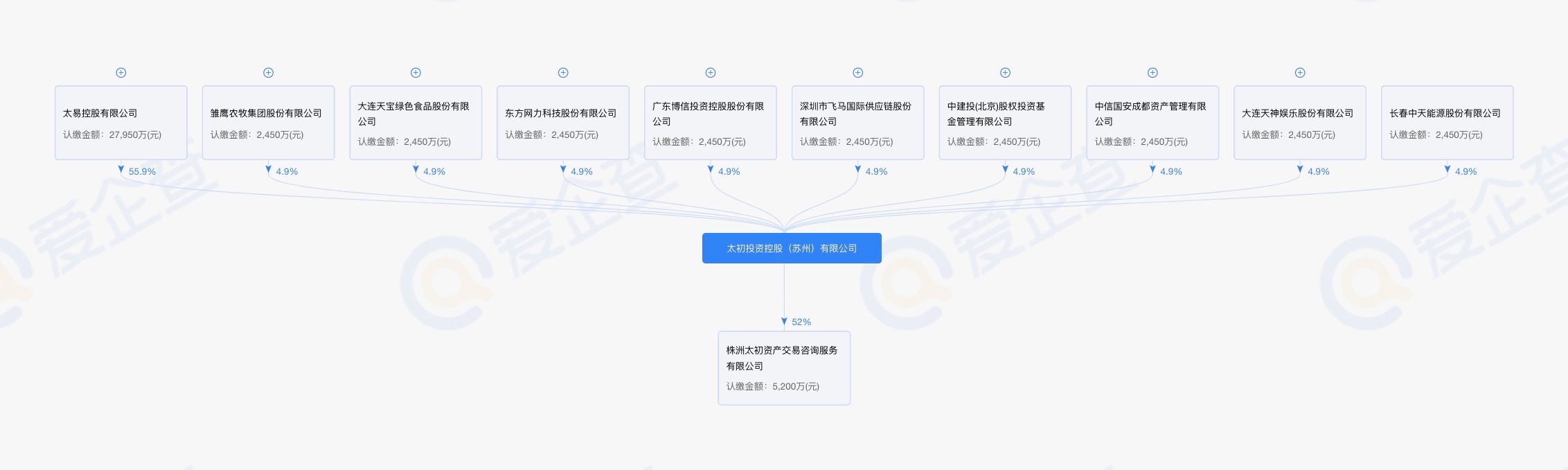 太初投资控股（苏州）有限公司的豪华股东列表
