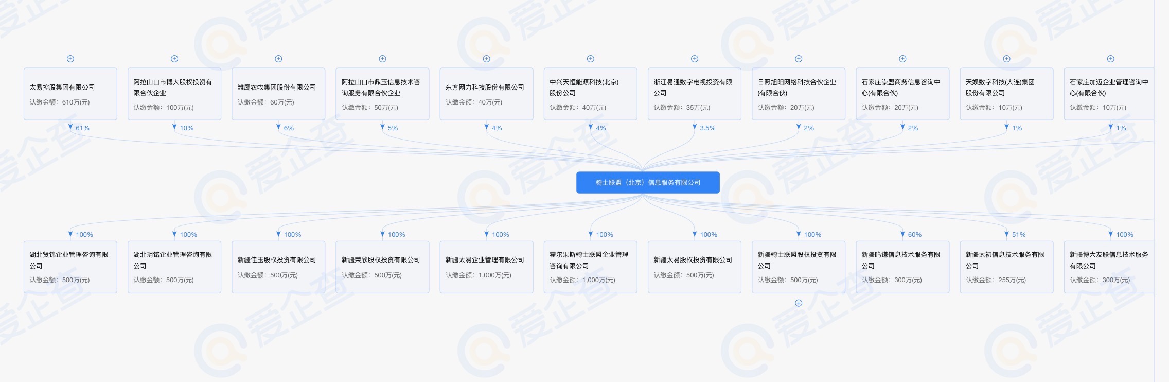 骑士联盟（北京）信息服务有限公司的豪华 Plus 股东列表